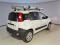 preview Fiat Panda #1