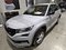preview Skoda Kodiaq #0