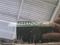 preview Skoda Citigo #5