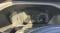 preview Ford Transit Custom #0