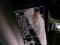 preview Volvo V40 #5