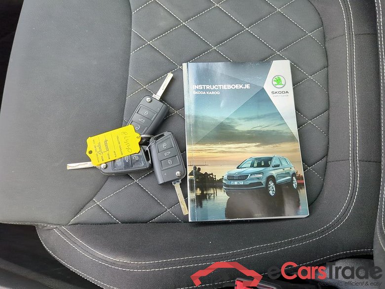SKODA Karoq 110 kW #6