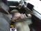 preview Ford Focus #2