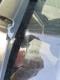 preview Ford Galaxy #4