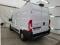 preview Fiat Ducato #1