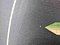 preview Ford Transit #4