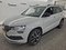preview Skoda Karoq #0