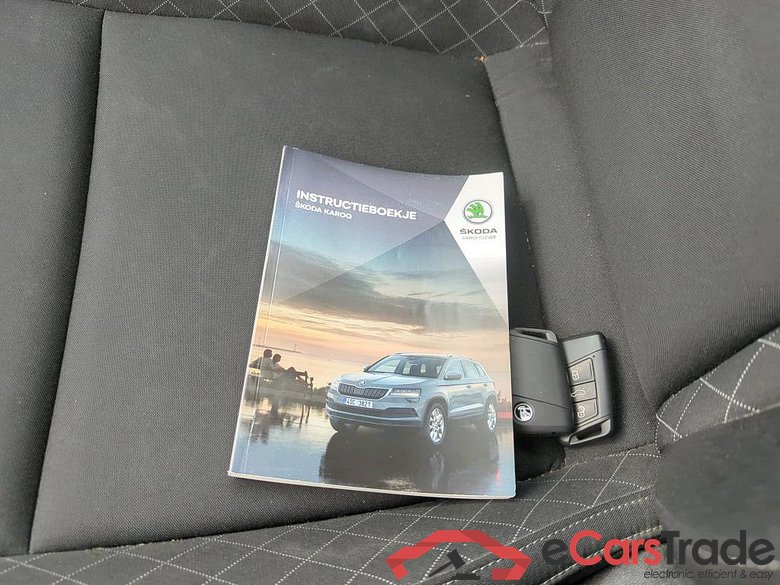 SKODA Karoq 110 kW #6