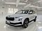 preview Skoda Karoq #0